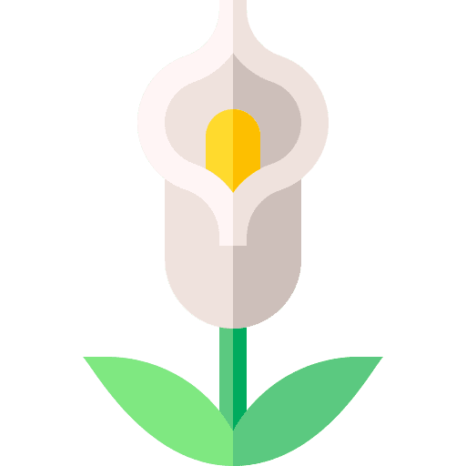 Calla botanical nature blossom icon