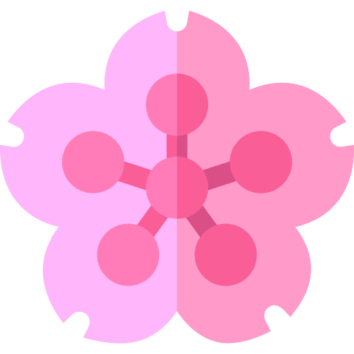Cherry blossom japanese sakura cherry blossom icon