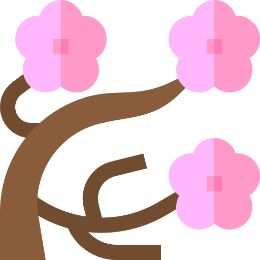 Cherry blossom sakura japanese nature icon