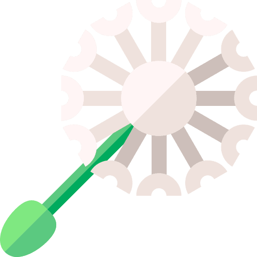 Dandelion dandelion nature flower icon