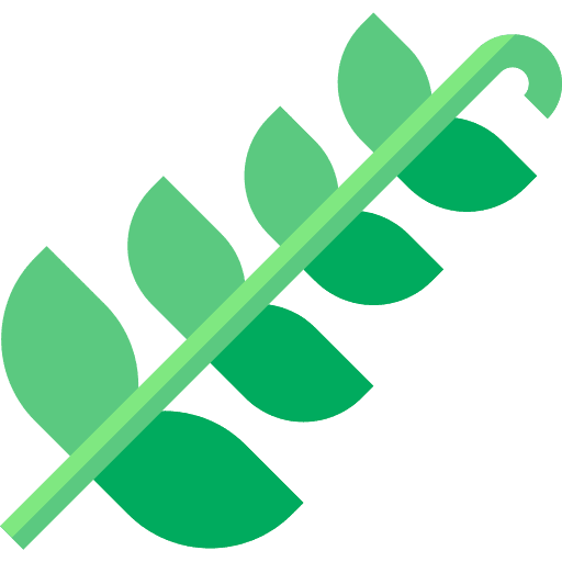 Fern plant botanic nature icon