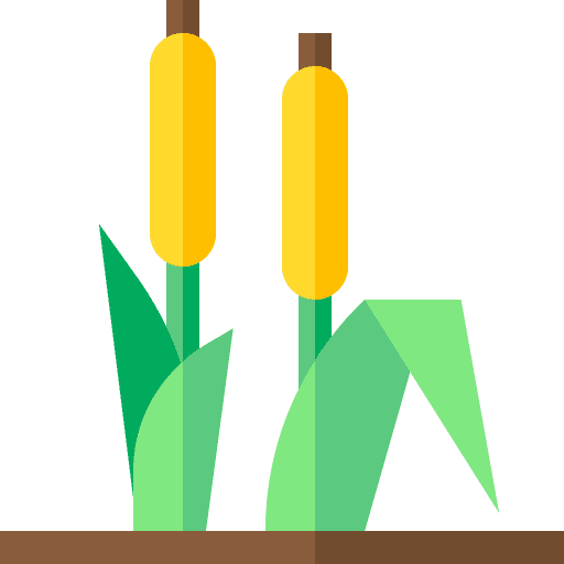 Reed park lake reed icon