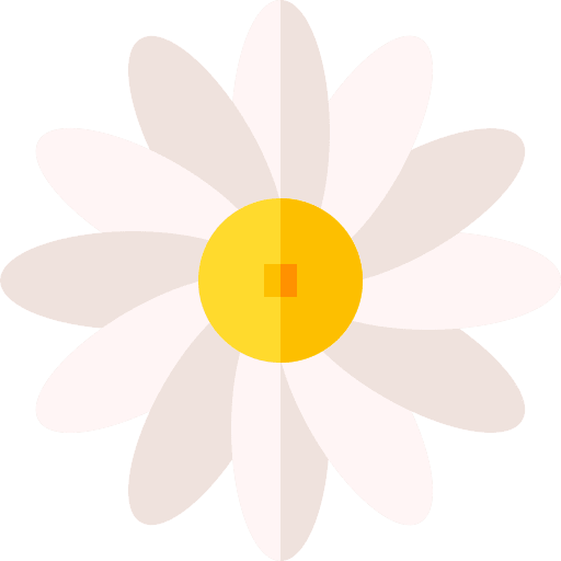 Daisy daisy botanical blossom icon