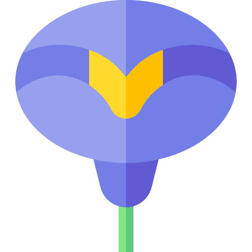 Flower blossom flower nature icon