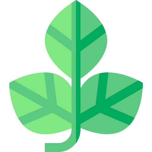 Leaf nature plant leaves icon