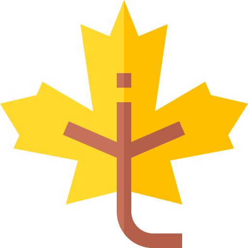 Maple leaf fall leaf plant icon
