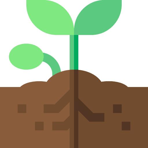 Sprout growing seed nature tree icon