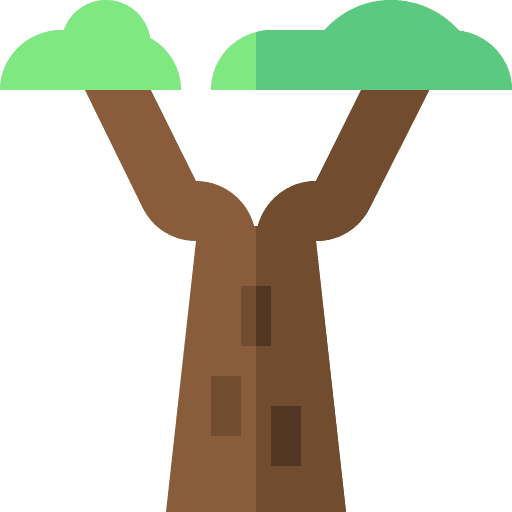 Baobab nature ecology and environment biology icon