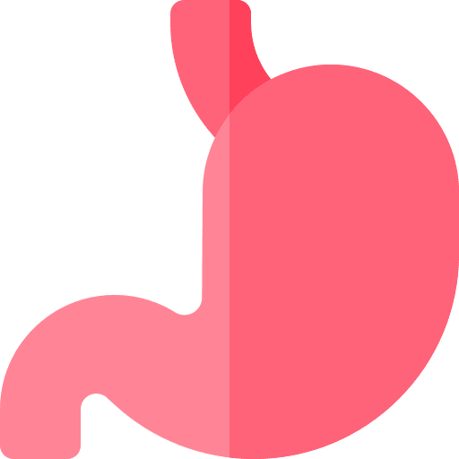 Stomach anatomy healthcare and medical stomach icon