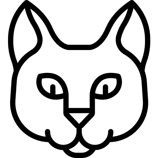 Cat breed domestic animals icon