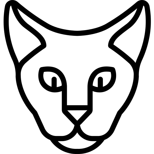 Cat avatar cat pet icon