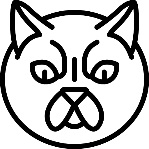 Chubby cat breed kitty icon