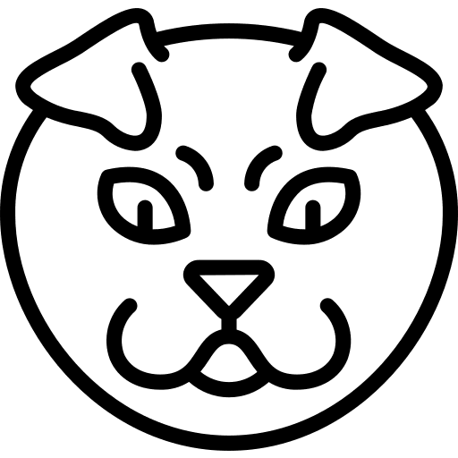 Fold ear avatar kitty feline icon