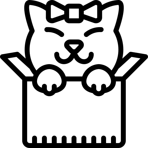 Box cat pet box icon