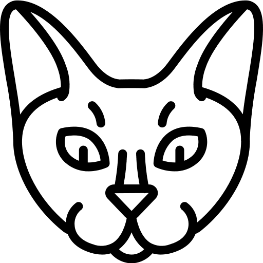 Cat domestic breed avatar icon