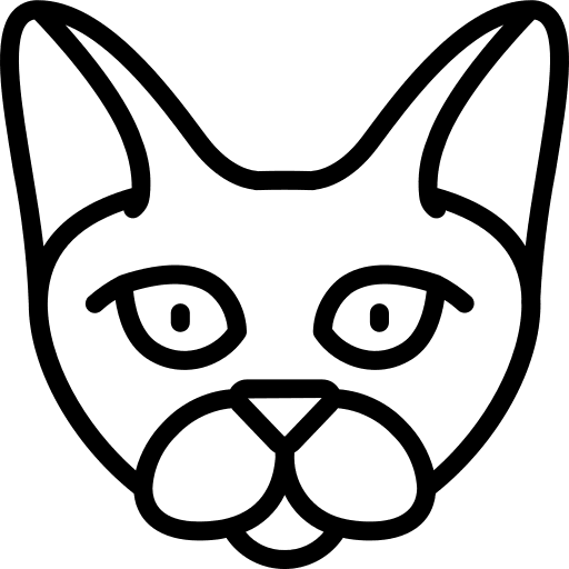 Cat feline avatar domestic icon