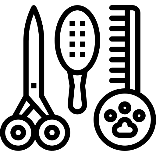 Beauty saloon beauty saloon beauty saloon icon