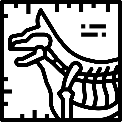 Healthcare healthcare pet veterinary icon