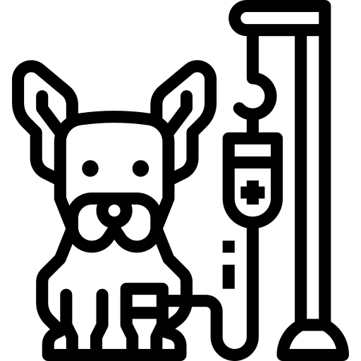 Veterinary syringe solution via icon