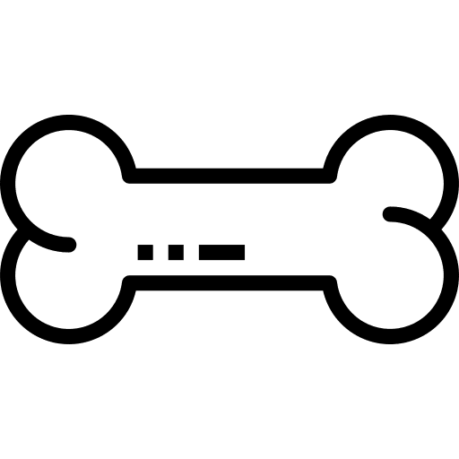 Bone toy dog food pet icon