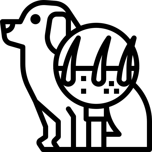 Dermatology hair healthcare skin care icon