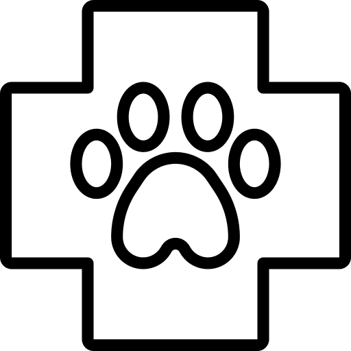 Veterinary bandage first aid healthcare and medical icon