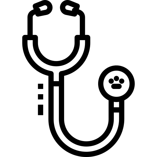 Stethoscope medical kit stethoscope clinic icon