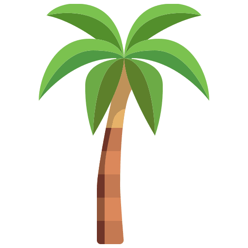 Coconut tree tropical beach botanical icon