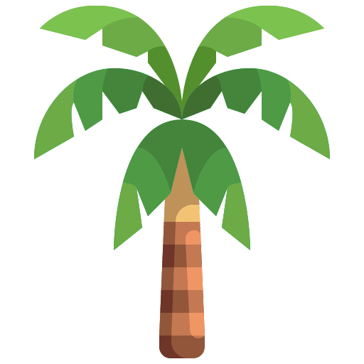 Coconut tree coconut summertime botanical icon