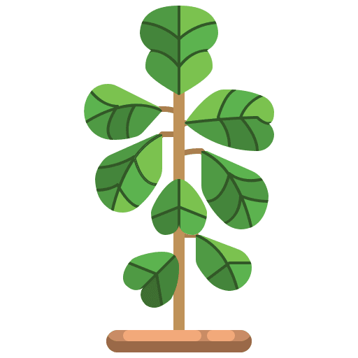 Leaf nature maturity ecology and environment icon