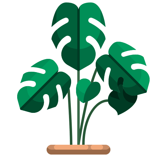 Monstera leaf monstera leaf leaves farming and gardening icon