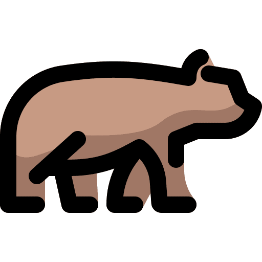 Bear mammal zoo bear icon