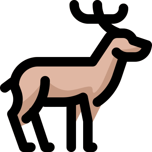 Deer zoo mammal animals icon
