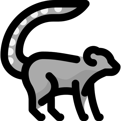 Lemur lemur mammal animals icon