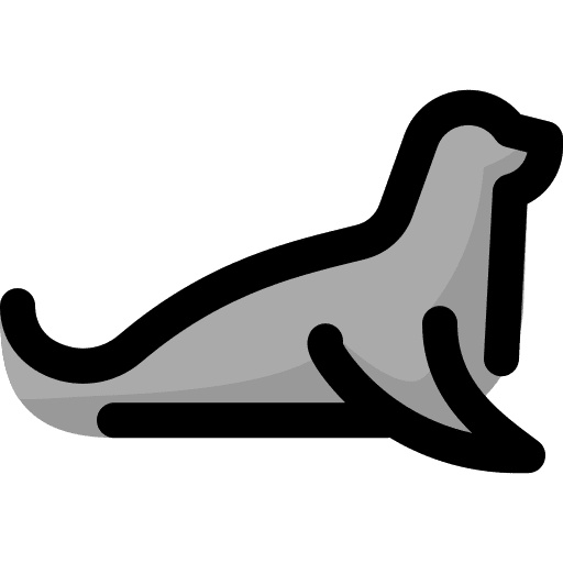 Seal mammal animals zoo icon