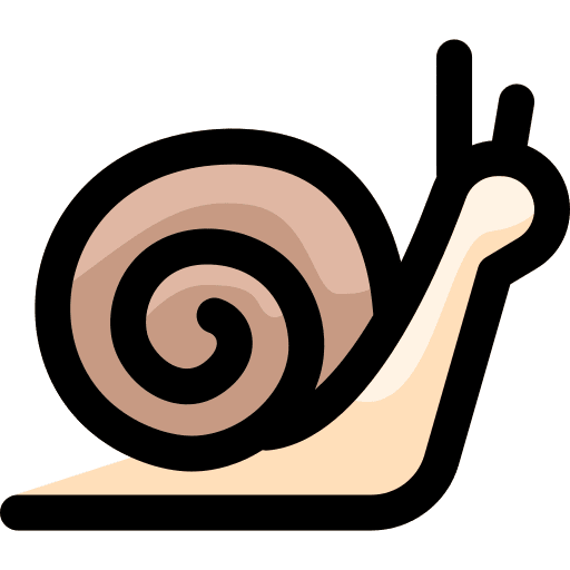 Snail mammal zoo animals icon