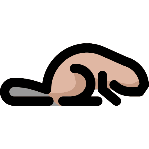 Beaver beaver mammal zoo icon