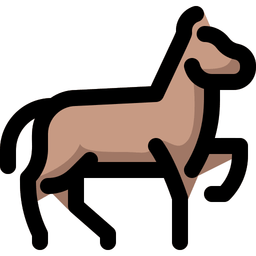 Horse horse zoo animals icon