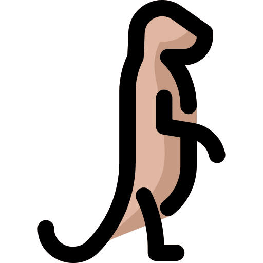 Meerkat animals wild animals mammal icon