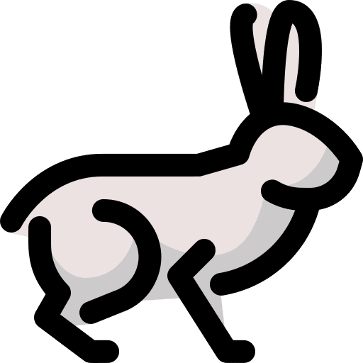 Rabbit mammal rabbit wild animals icon