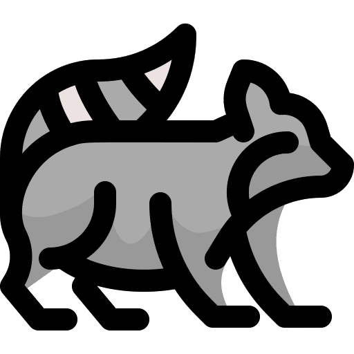 Raccoon raccoon animals wild animals icon