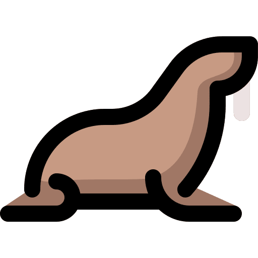 Walrus mammal sea animal zoo icon