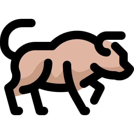 Buffalo wild animals mammal animals icon
