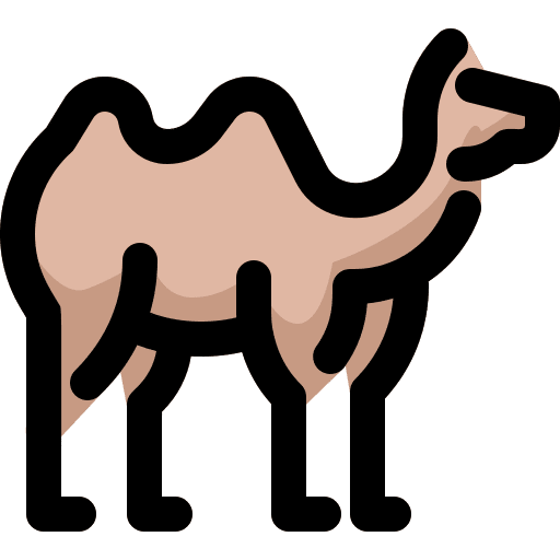 Camel zoo animals wild animals icon