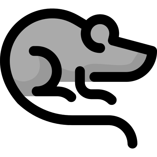 Mouse animals mouse mammal icon