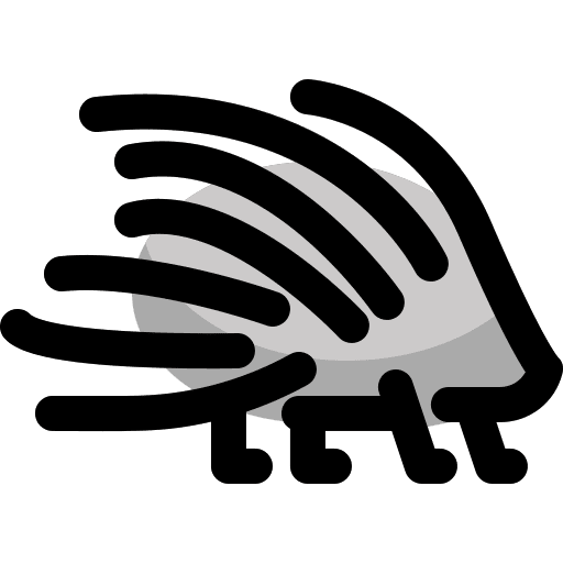 Porcupine animals porcupine zoo icon