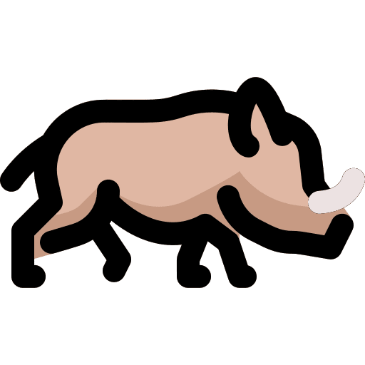 Rhino zoo wild animals mammal icon