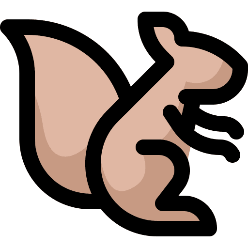 Squirrel animals mammal wild animals icon