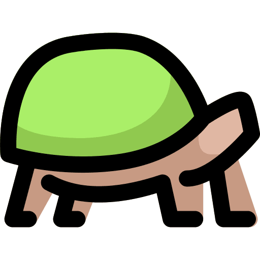 Turtle zoo animals mammal icon