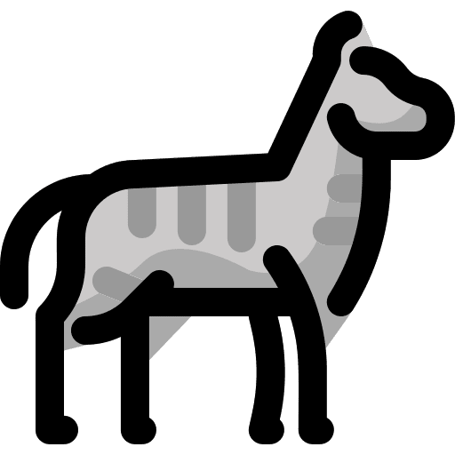 Zebra animals zoo wild animals icon